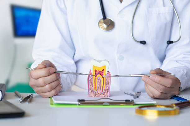 Best Urgent Dental Care for Toothache in Oyster Creek, TX